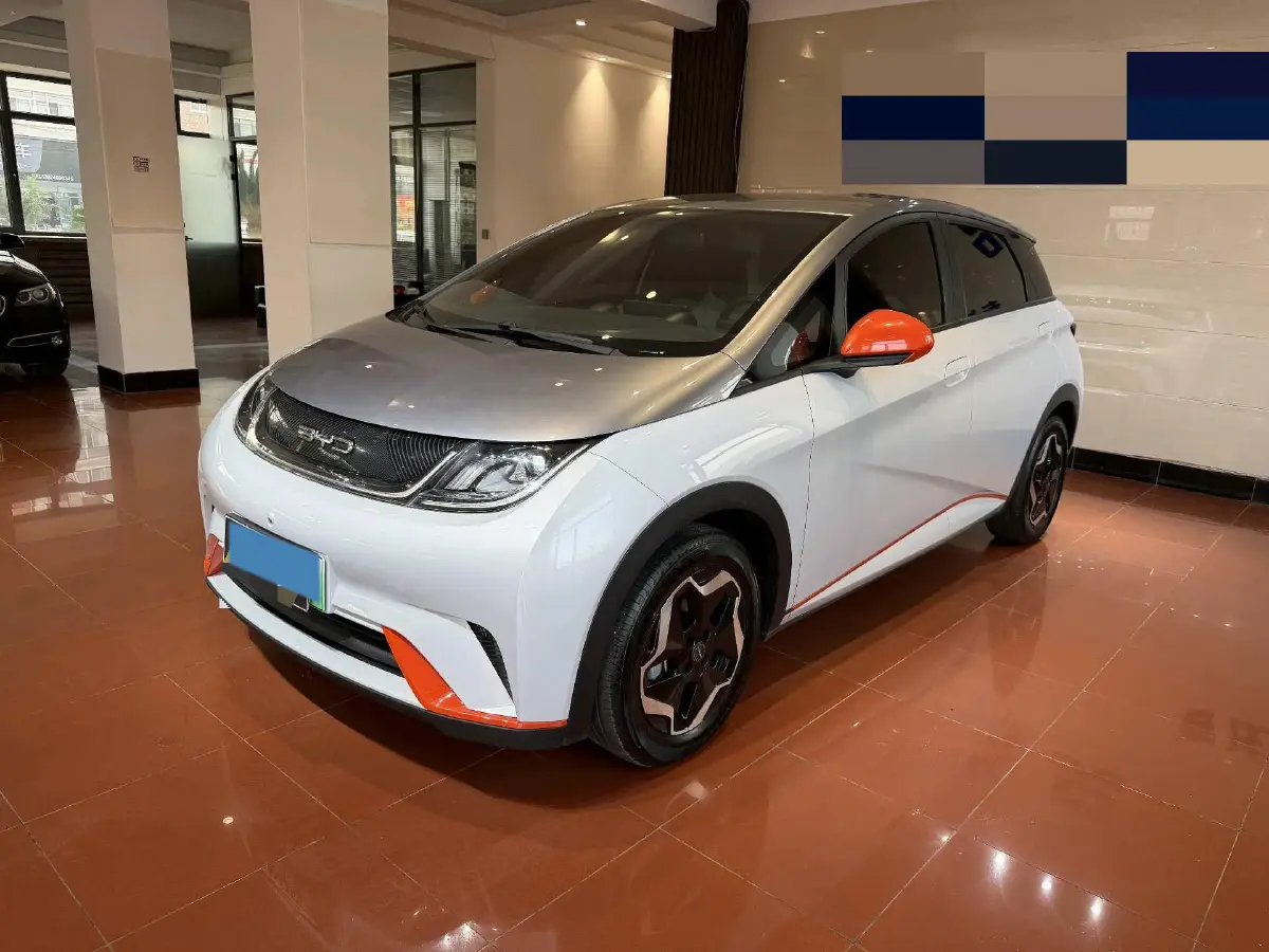 2021 BYD Dolphin BEV 44.9KWH