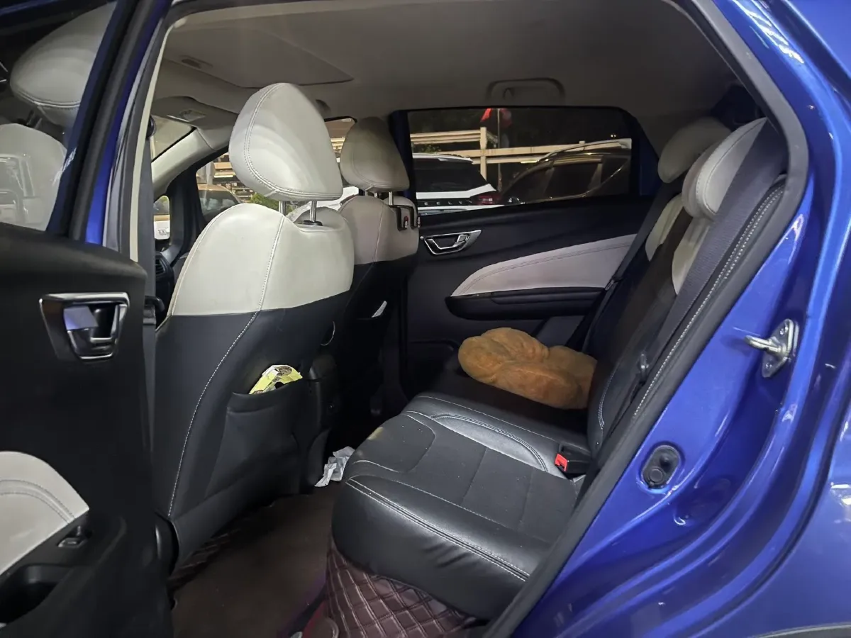 2020 Livan Maple 30X BEV 37KWH,autocango,china used car exporter,china ev exporter,chinese used car exporter,chinese used ev exporter