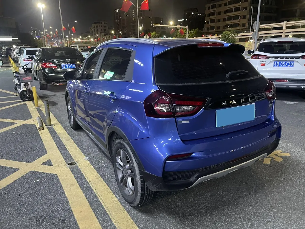 2020 Livan Maple 30X BEV 37KWH,autocango,china used car exporter,china ev exporter,chinese used car exporter,chinese used ev exporter