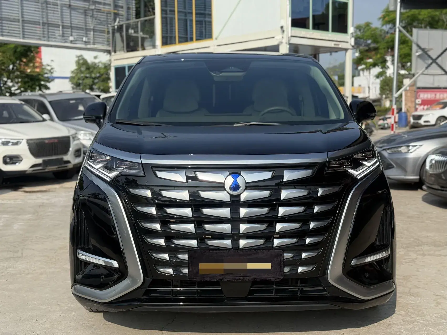 2022 DENZA D9 thumbnail 2