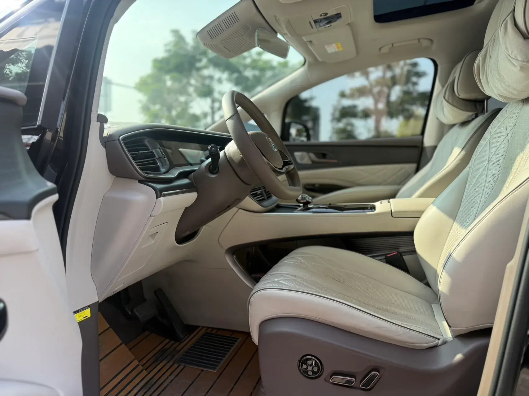 2022 DENZA D9 thumbnail 4