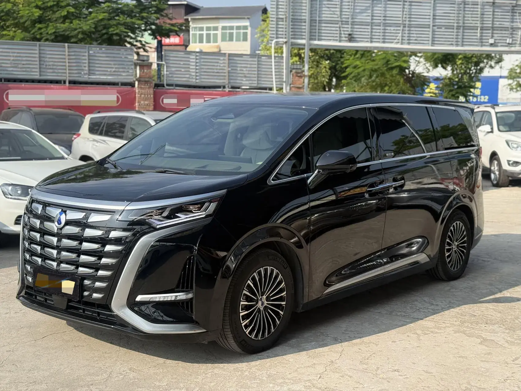 2022 DENZA D9 view 1