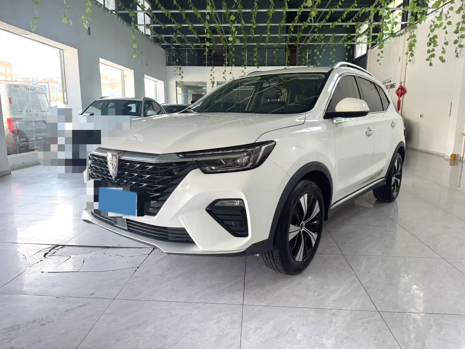 2020 ROEWE RX5 view 1