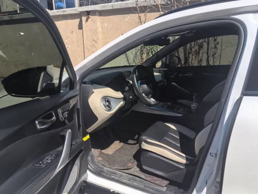 2020 DENZA X thumbnail 2