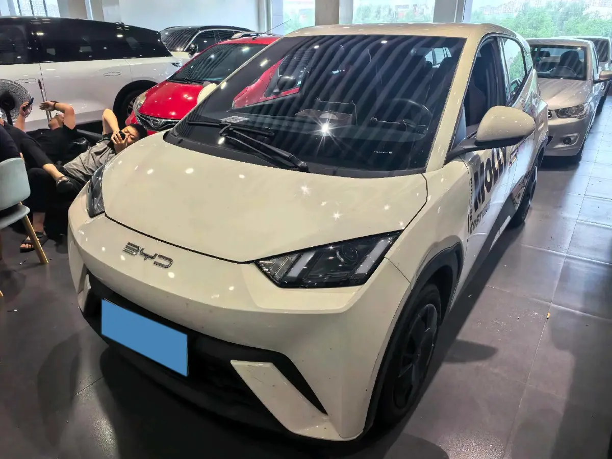 2023 BYD Seagull BEV 30.08KWH