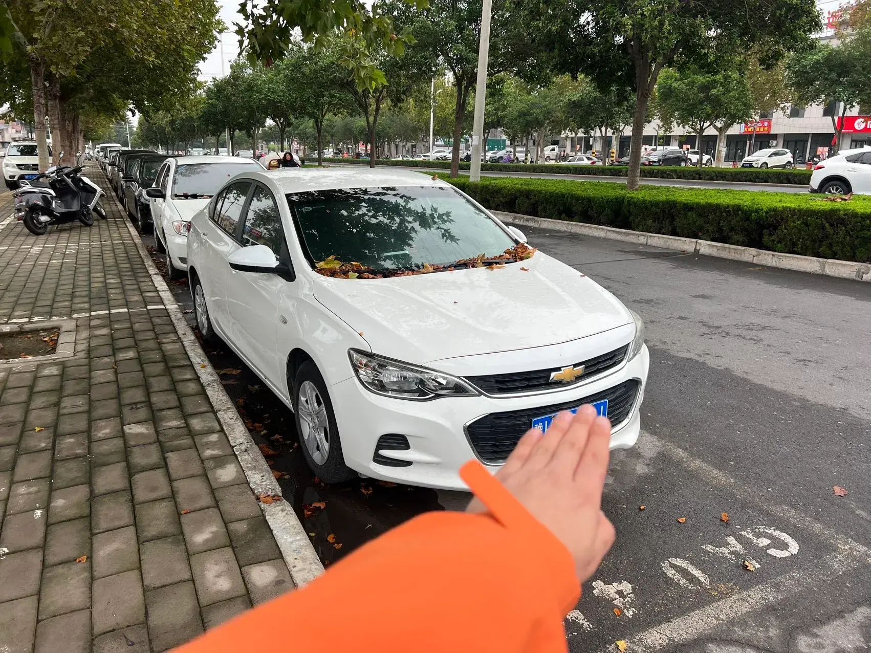 2019 CHEVROLET CAVALIER thumbnail 3