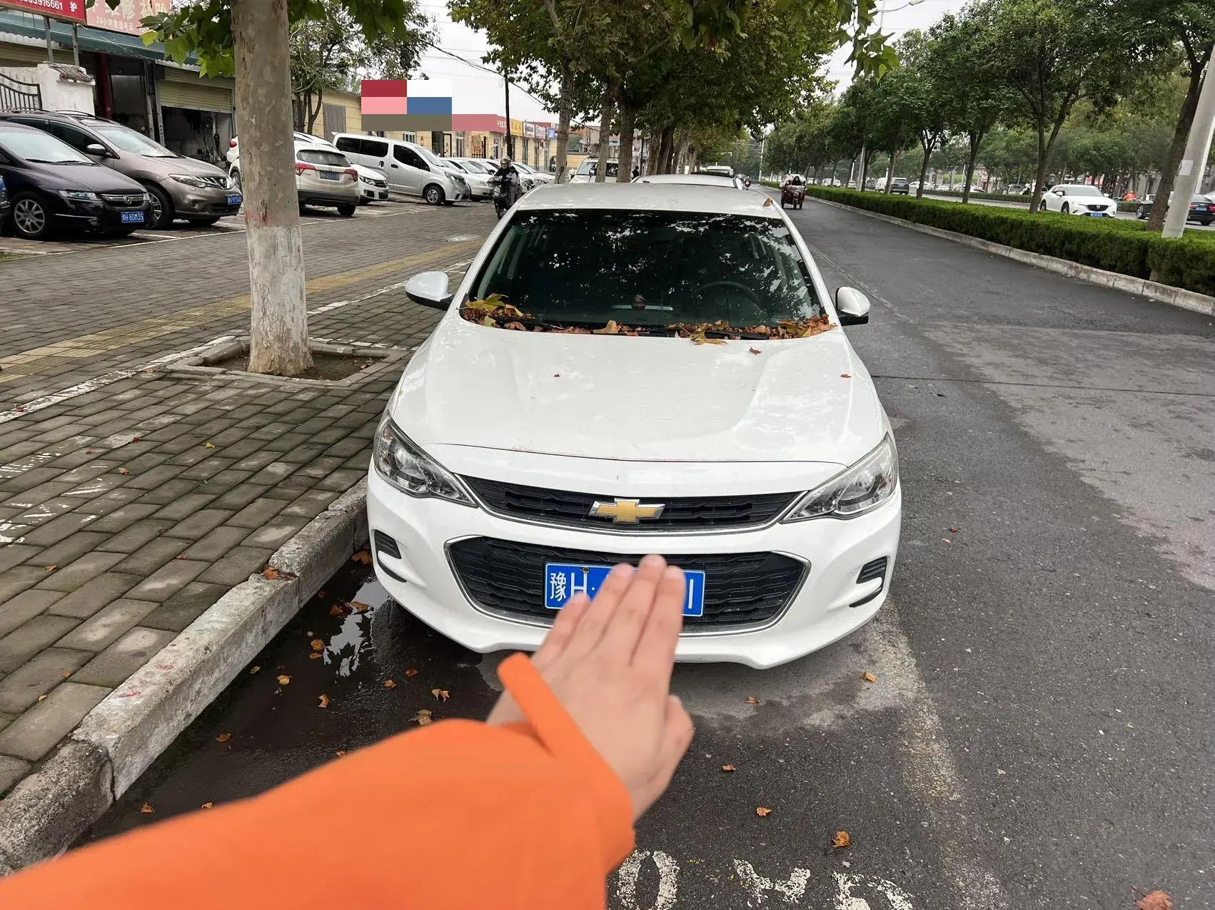 2019 CHEVROLET CAVALIER thumbnail 2