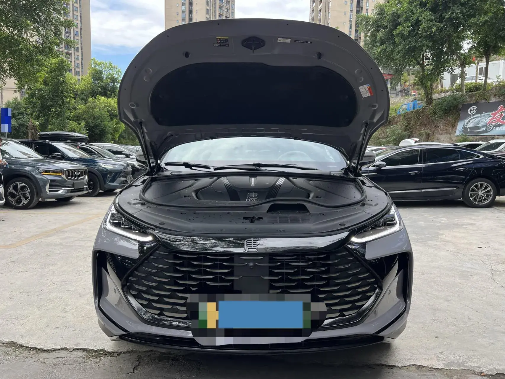 2025 BYD TANG thumbnail 4