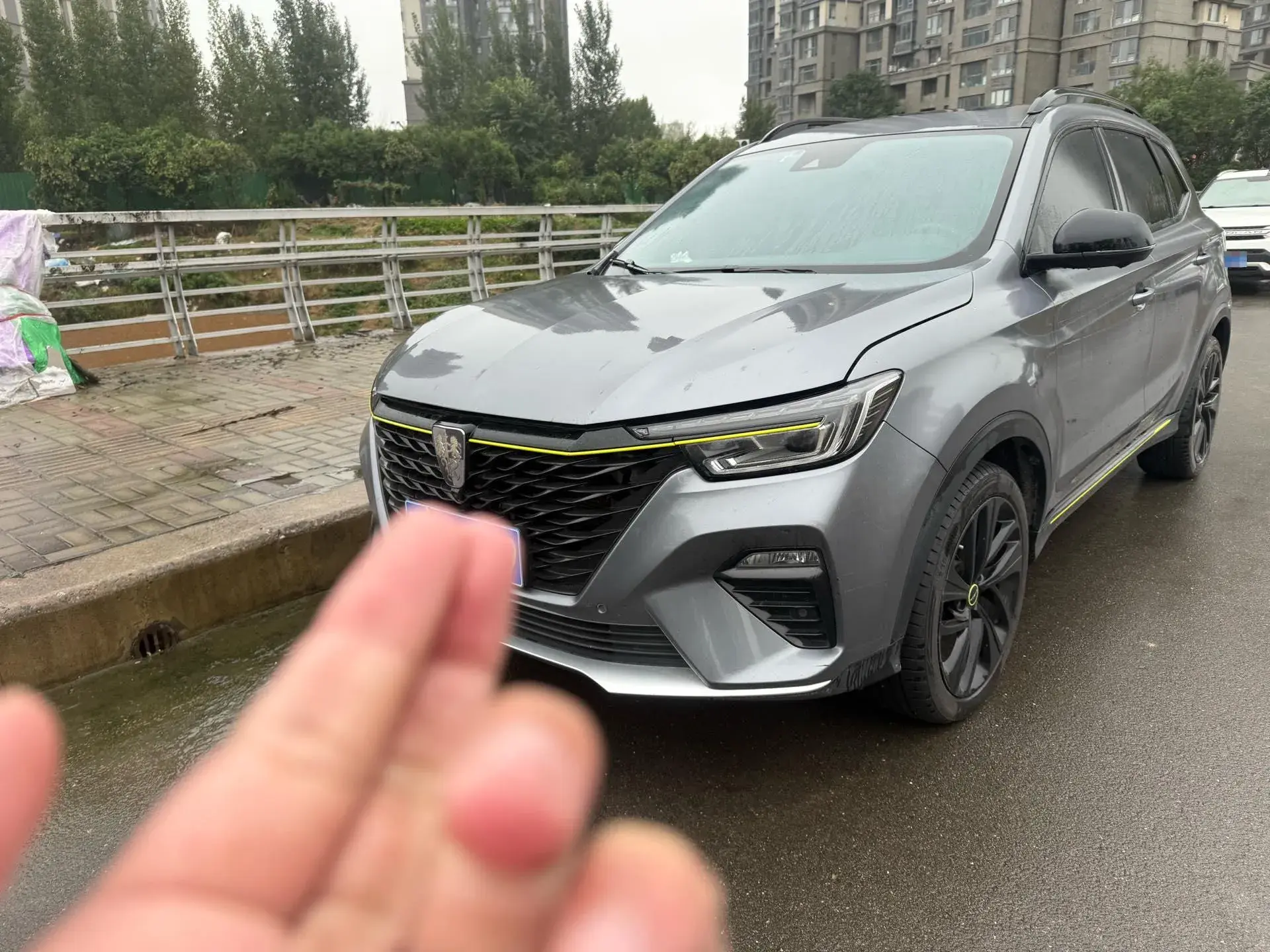 2020 ROEWE RX5 view 1