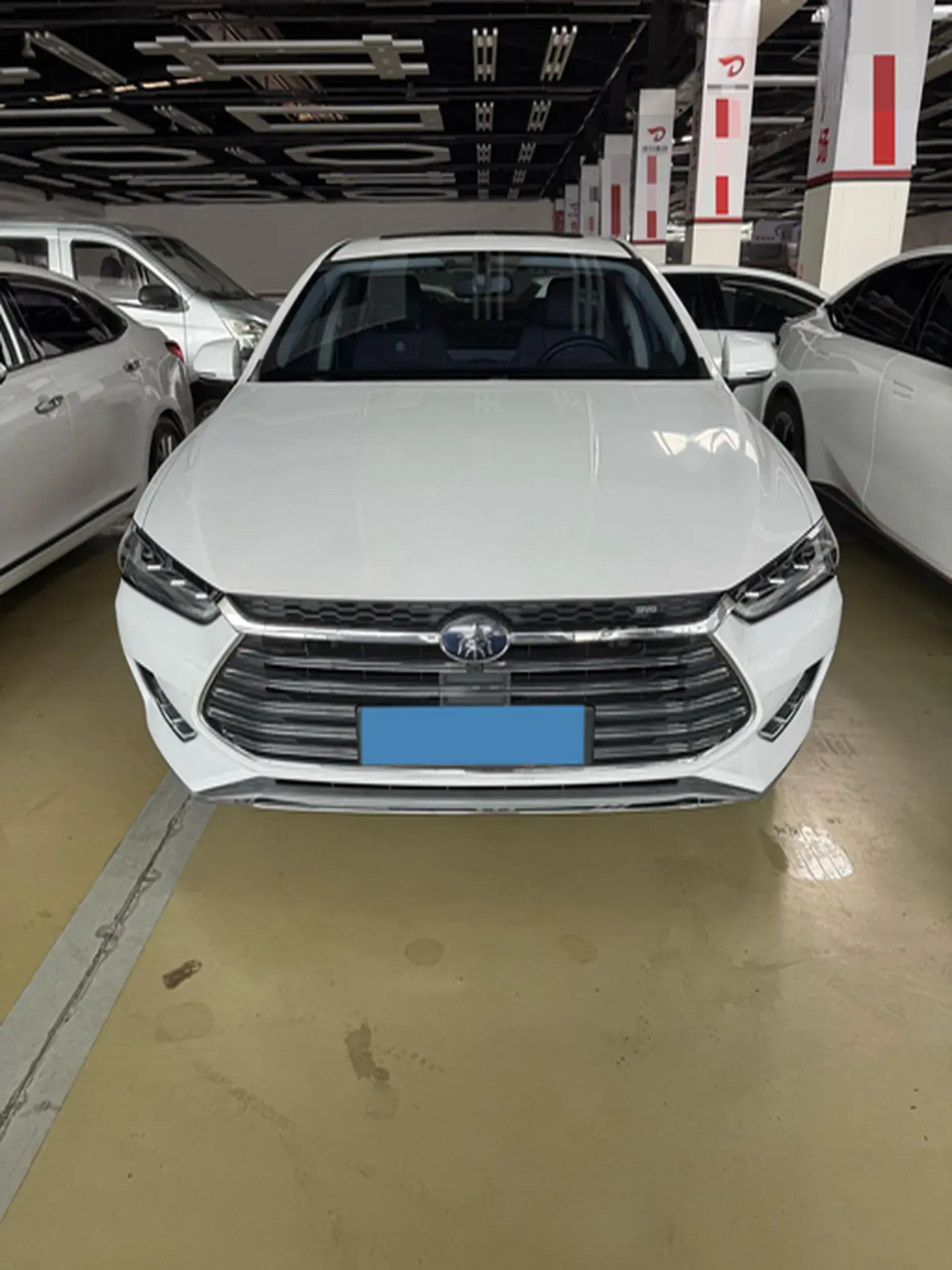 2019 BYD QIN thumbnail 2