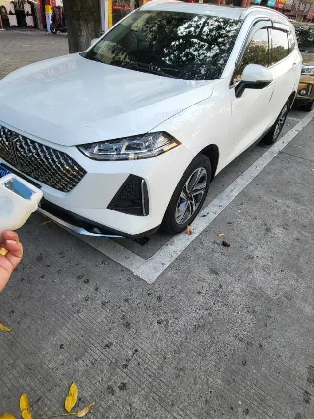 2021 WEY Macchiato 1.5L 97HP L4 2DHT PHEV 19.94KWH