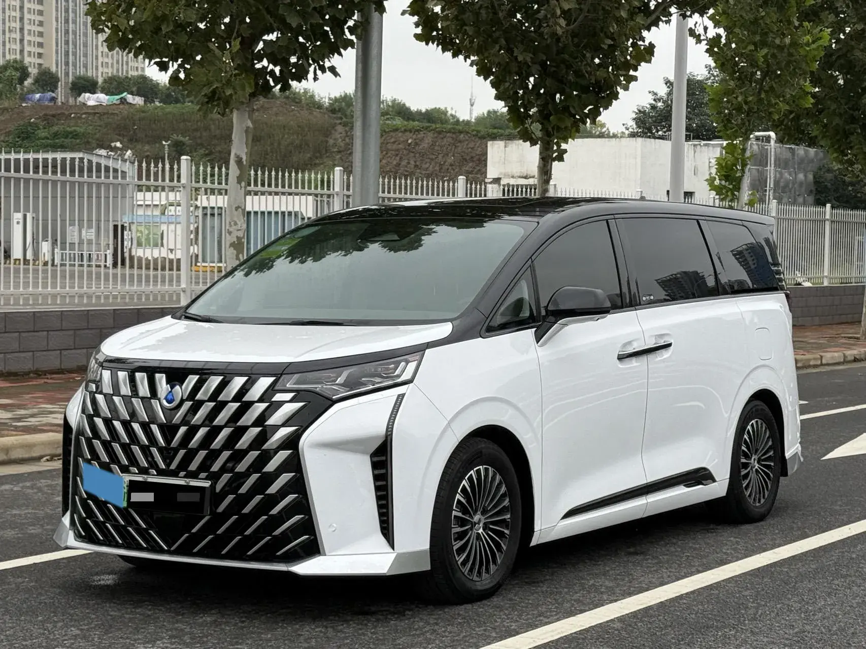 2022 DENZA D9 view 1