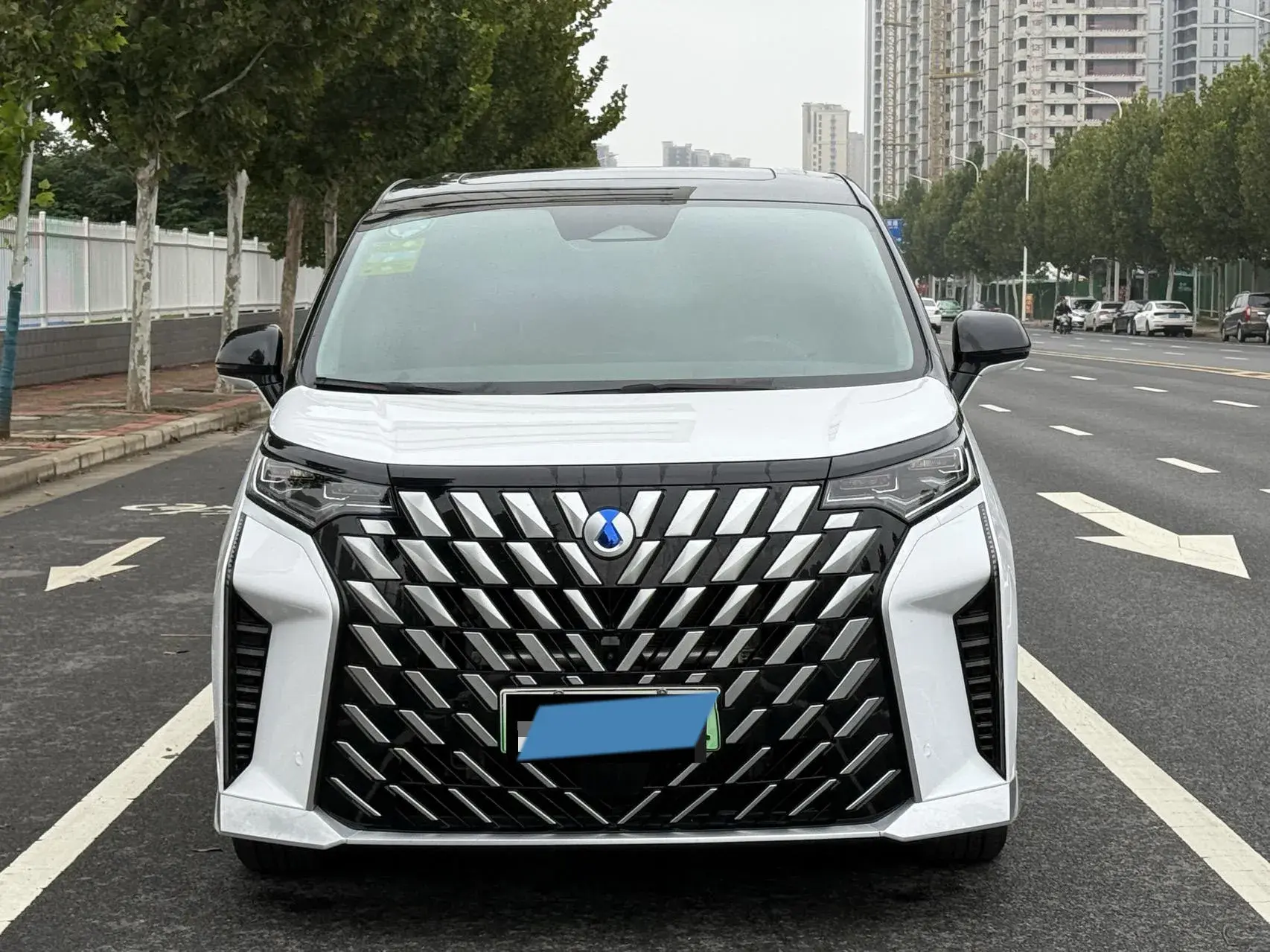 2022 DENZA D9 thumbnail 2