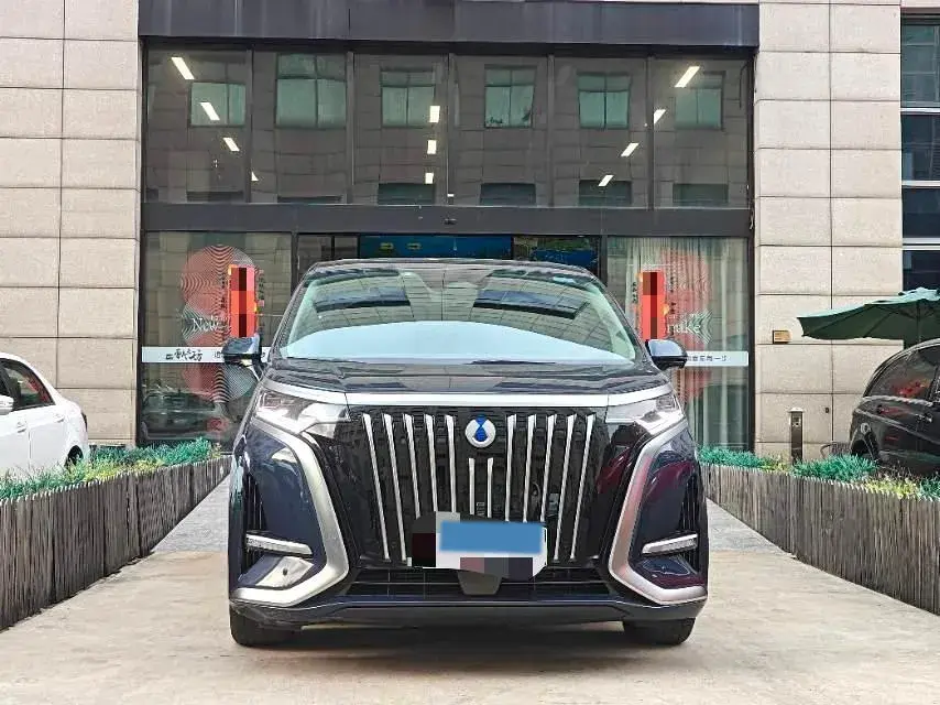 2024 DENZA D9 thumbnail 2