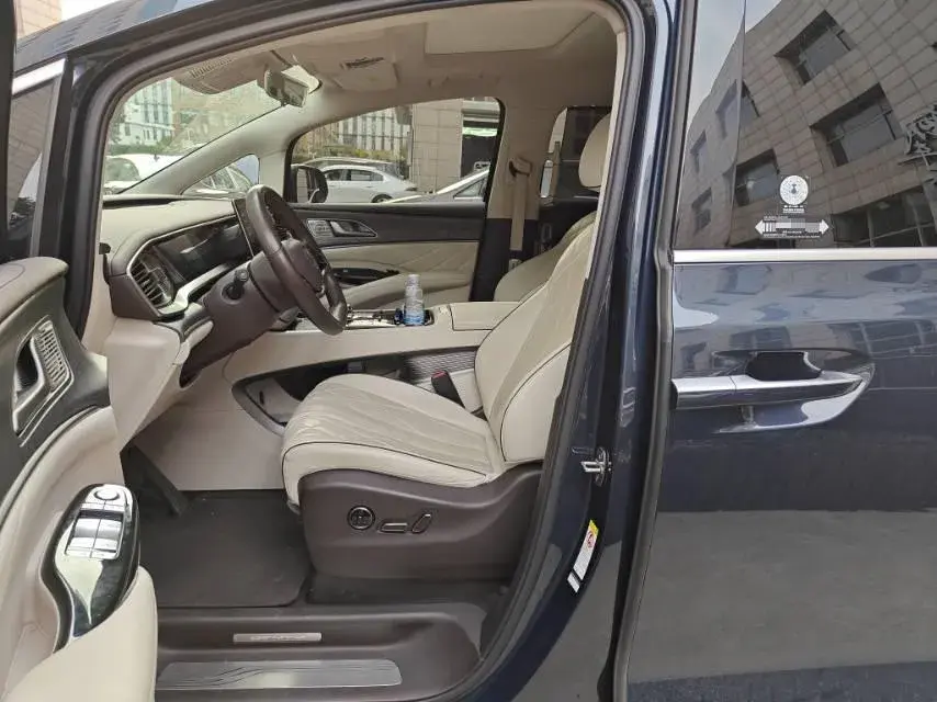 2024 DENZA D9 thumbnail 4