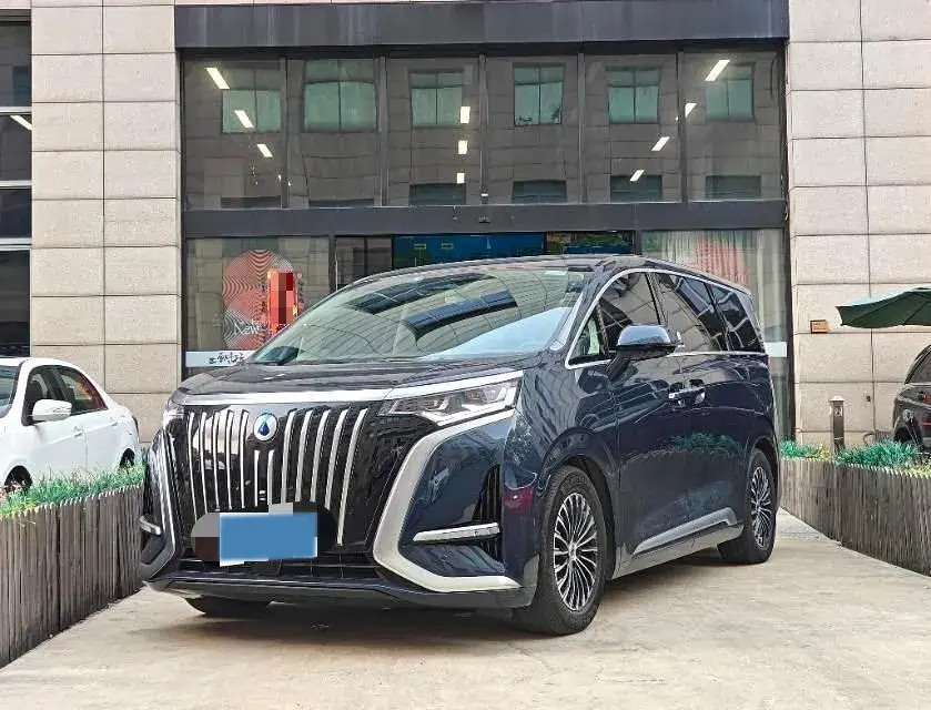 2024 DENZA D9 view 1