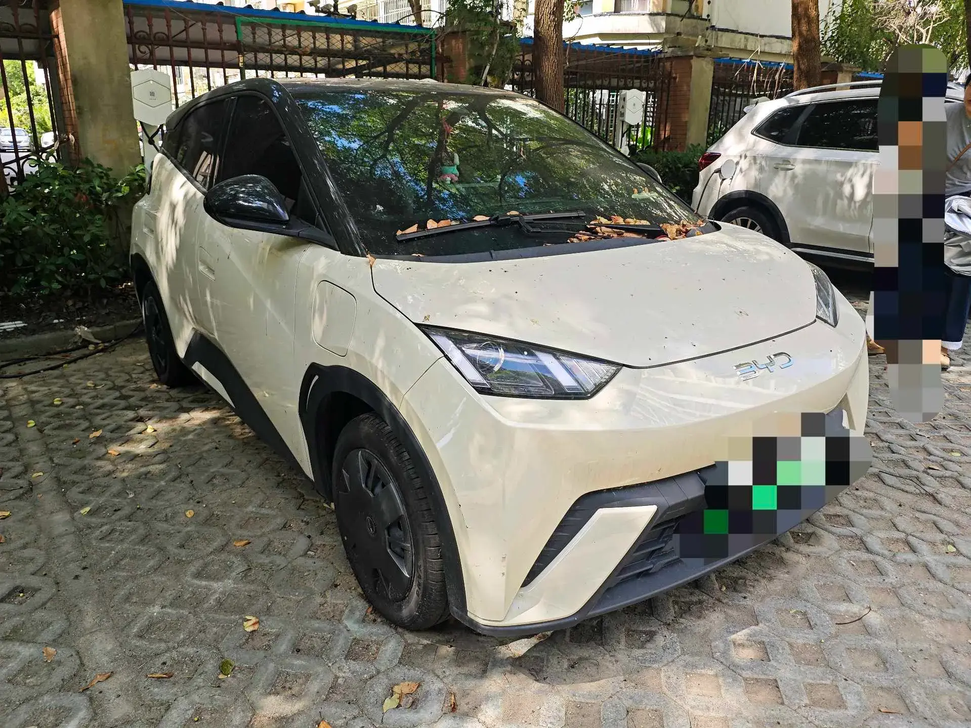 2024 BYD SEAGULL thumbnail 2