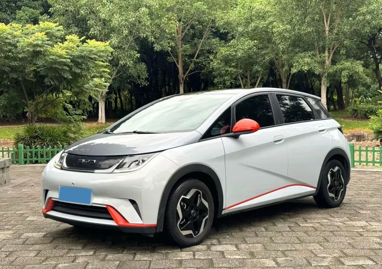 2021 BYD DOLPHIN view 1