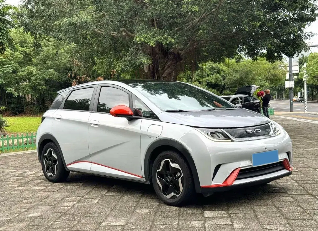 2021 BYD DOLPHIN thumbnail 3