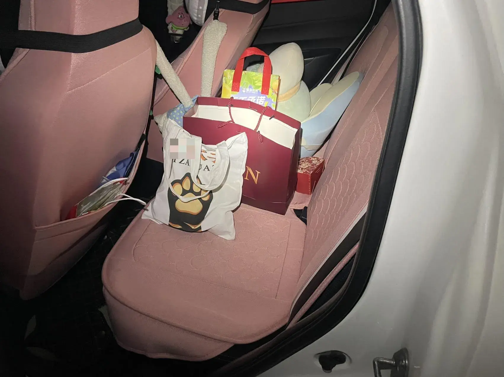 2022 DONGFENG NAMMI thumbnail 3