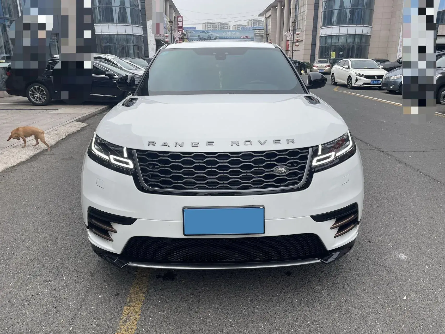 2020 LAND ROVER thumbnail 2