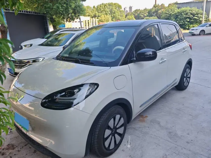 2023 WuLing BinGuo BEV 31.9KWH