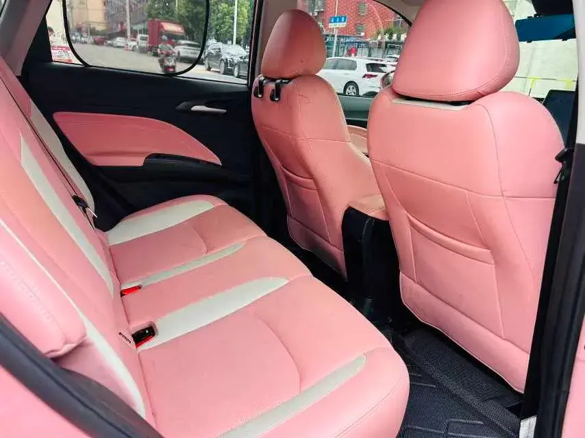 2021 NETA V thumbnail 4