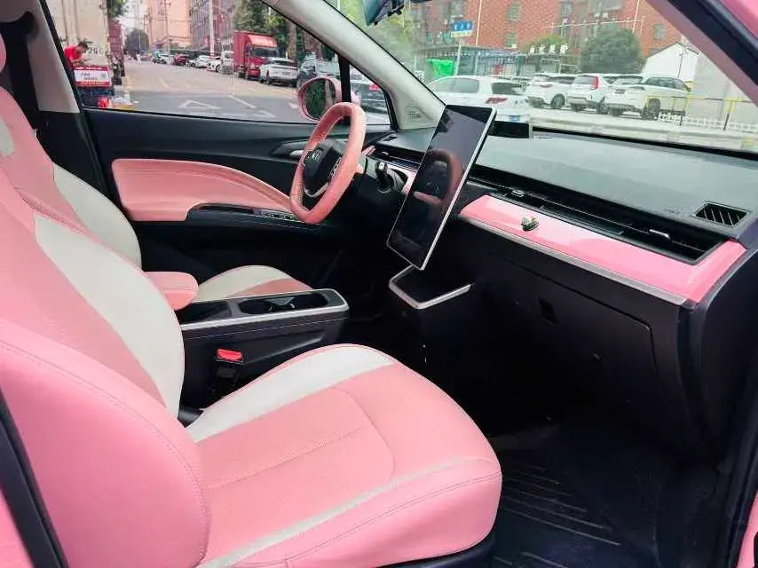 2021 NETA V thumbnail 3