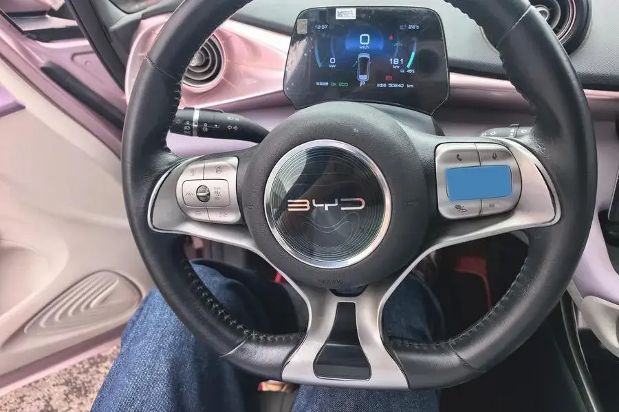 2021 BYD DOLPHIN thumbnail 4