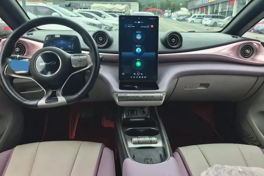 2021 BYD DOLPHIN thumbnail 3