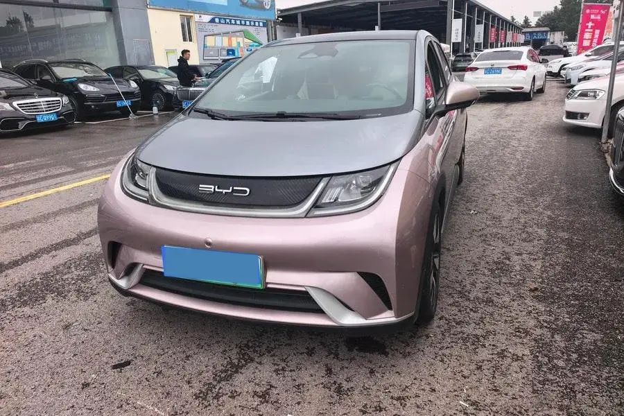 2021 BYD DOLPHIN view 1