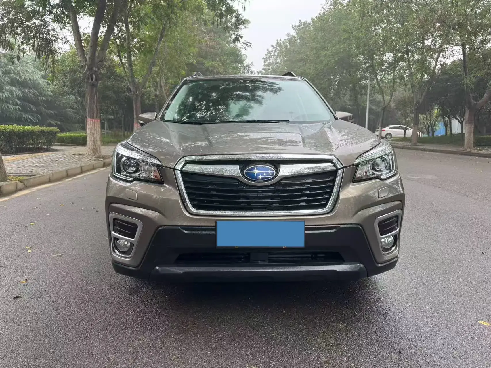 2021 SUBARU FORESTER thumbnail 2