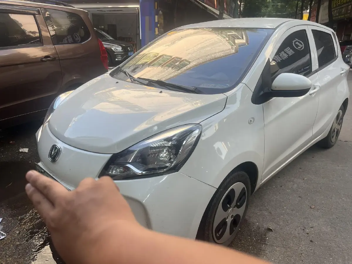 2021 ChangAn BenBen E-Star BEV 32.2KWH