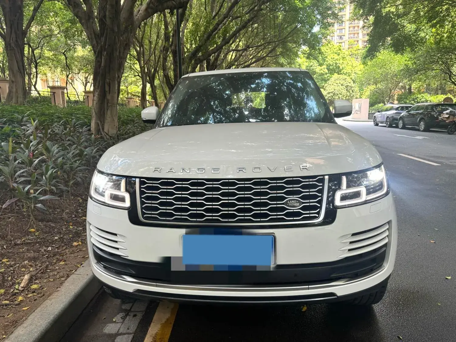 2019 LAND ROVER view 1