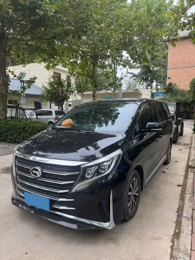 2021 GAC Trumpchi M8 2.0T 252HP L4 8AT