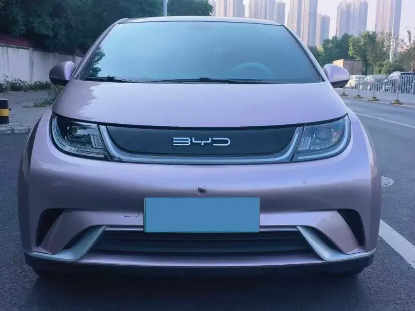 2021 BYD DOLPHIN thumbnail 2