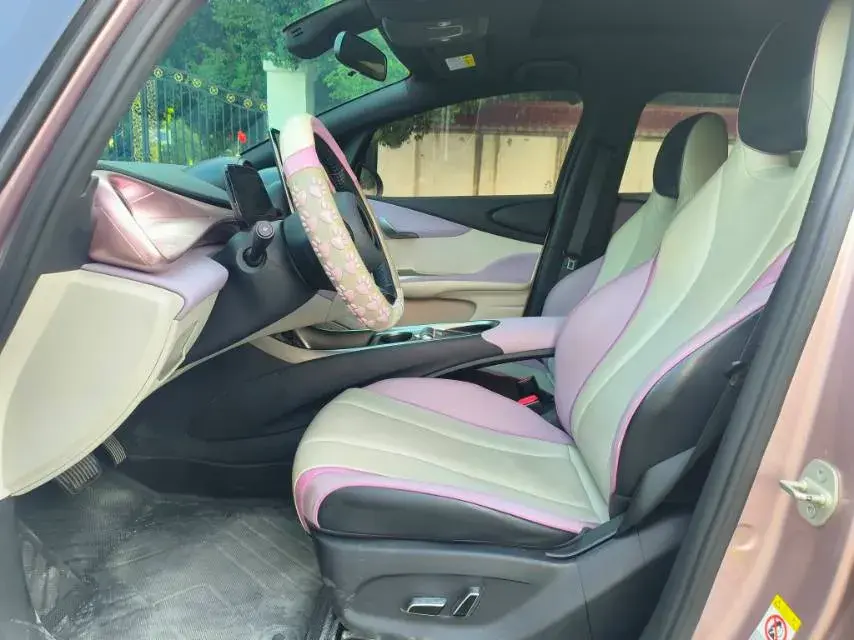 2021 BYD DOLPHIN thumbnail 4