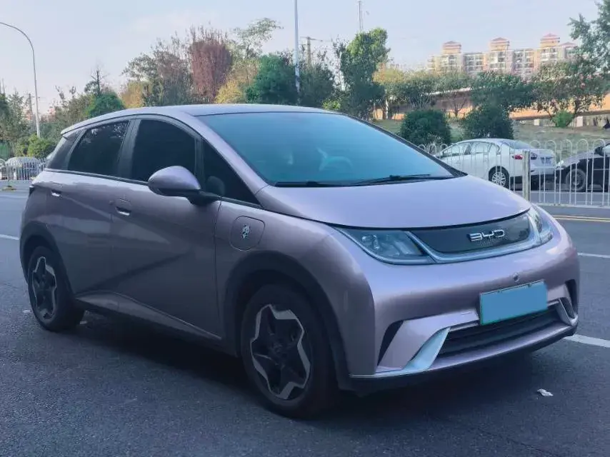 2021 BYD DOLPHIN thumbnail 3