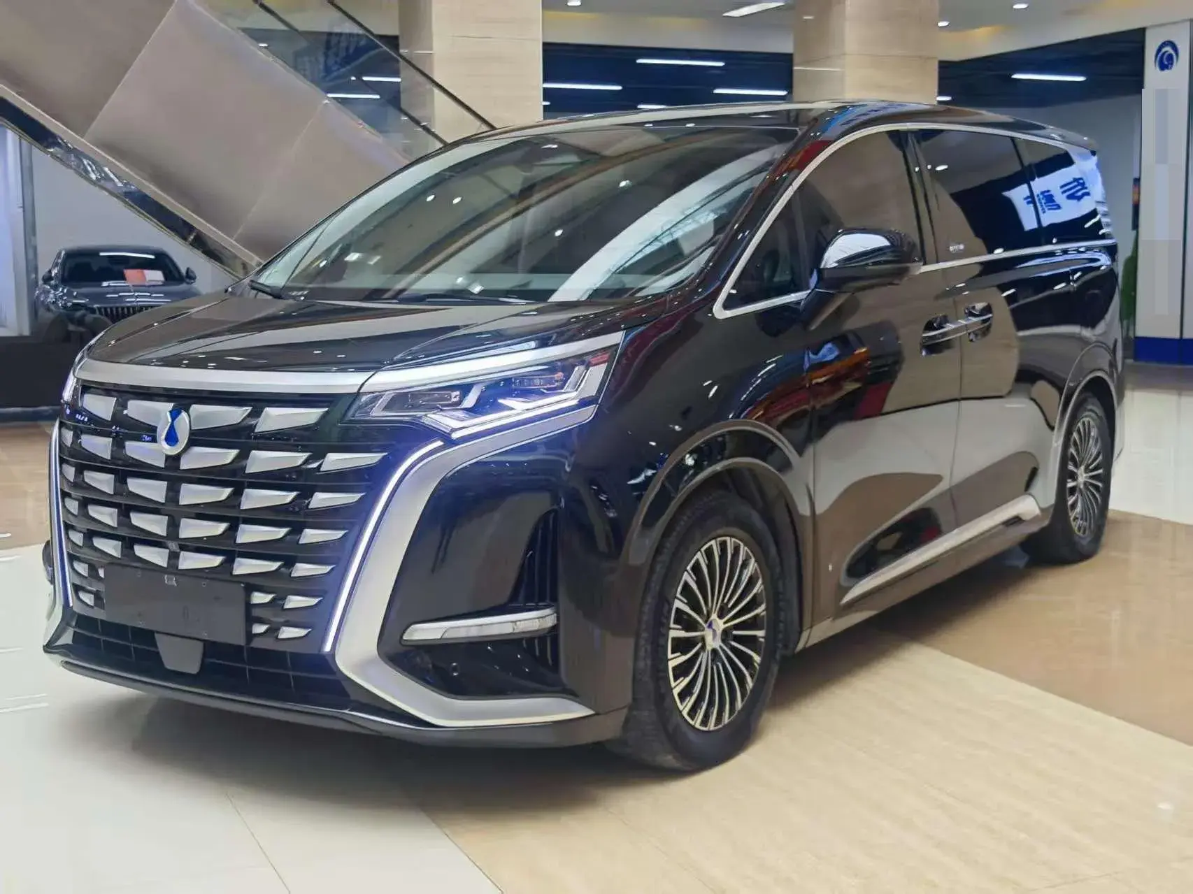 2022 DENZA D9 view 1