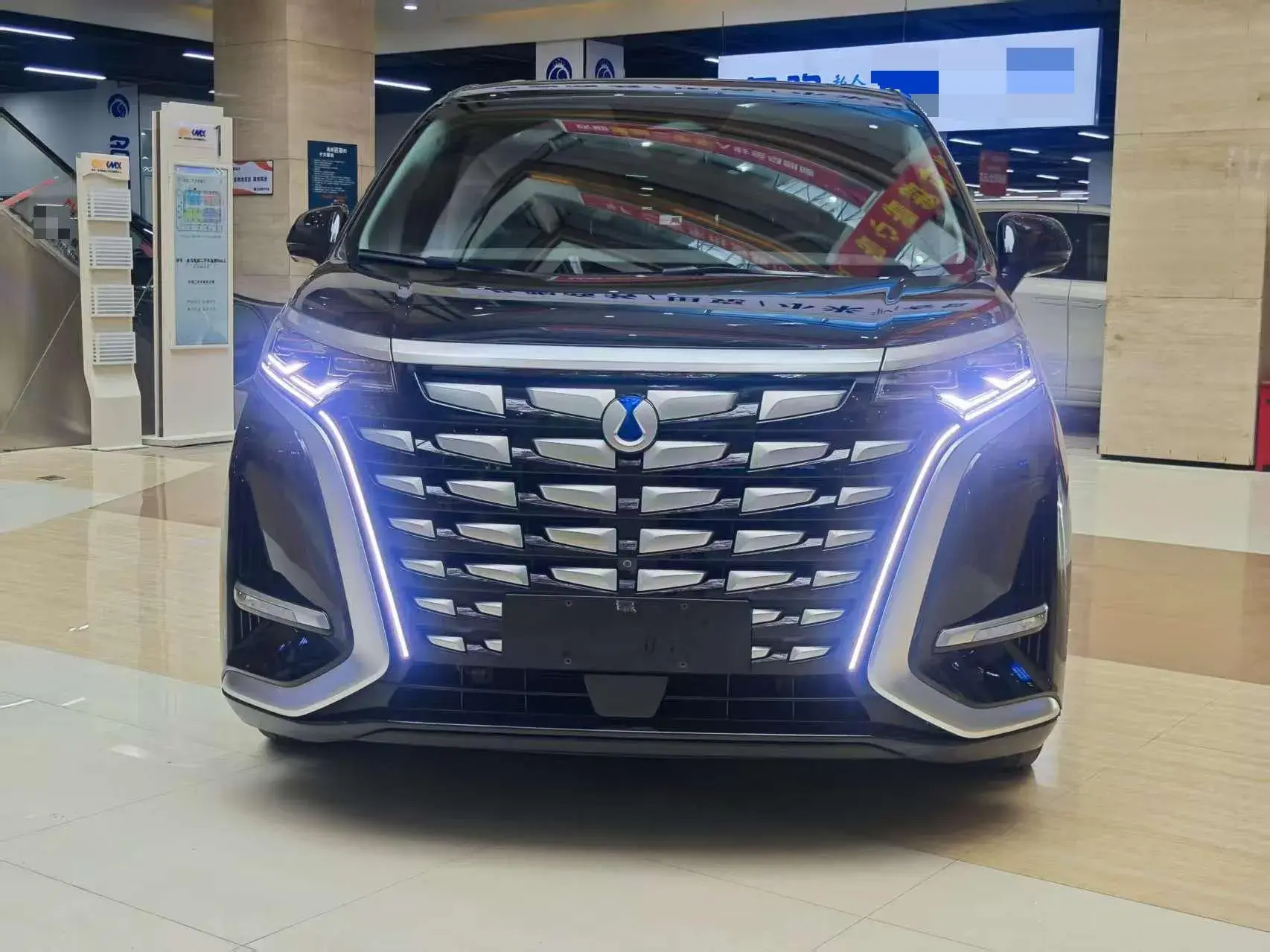 2022 DENZA D9 thumbnail 2