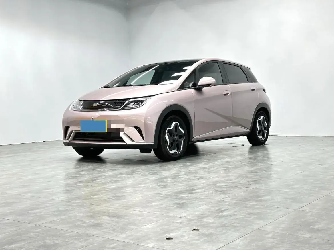 2021 BYD Dolphin BEV 44.9KWH