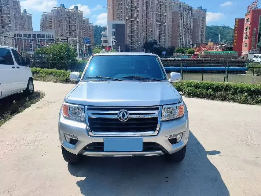 2019 DONGFENG RUIQI thumbnail 2