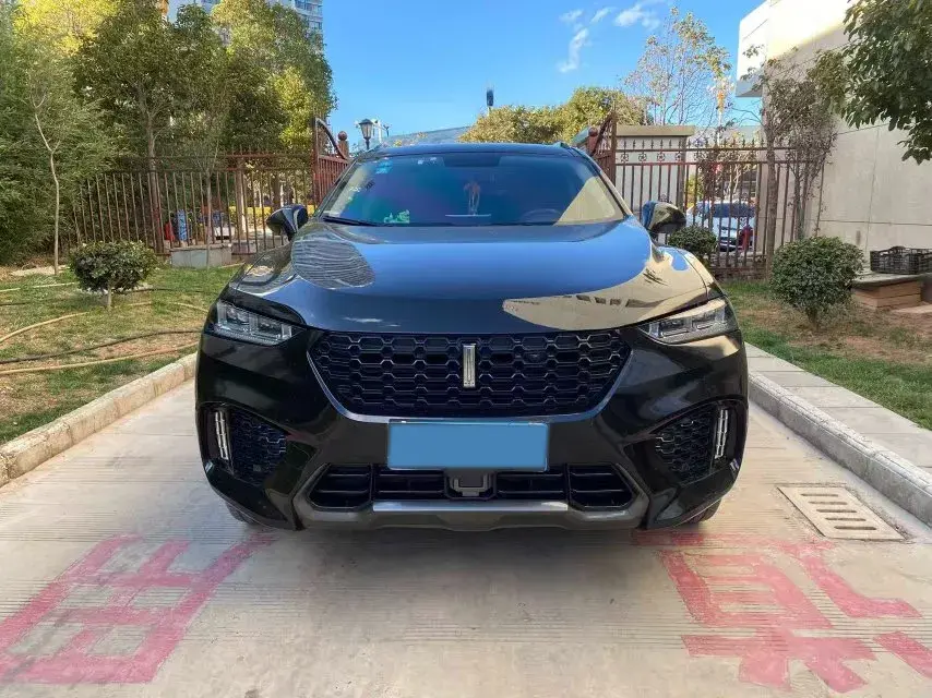 2017 WEY VV5 thumbnail 2