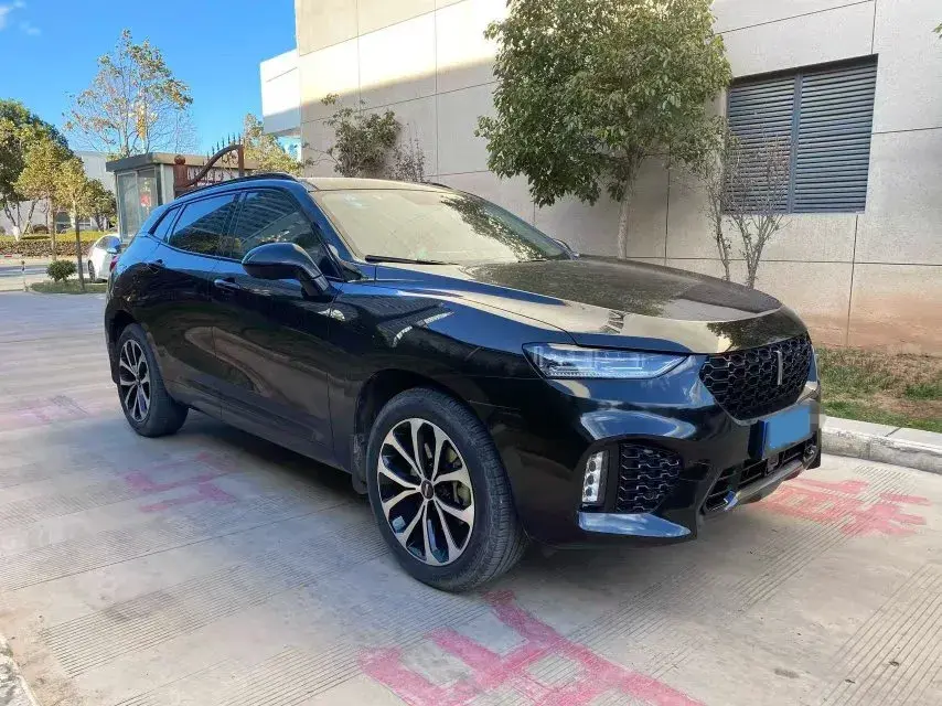 2017 WEY VV5 thumbnail 3