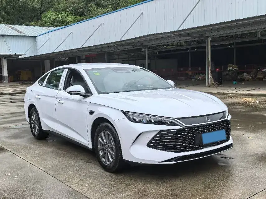 2025 BYD QINL thumbnail 2