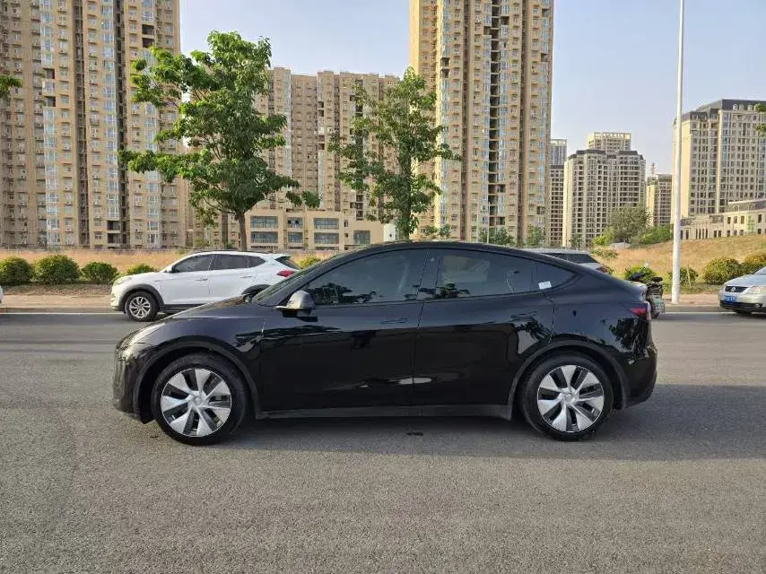 2021 TESLA MODEL thumbnail 4