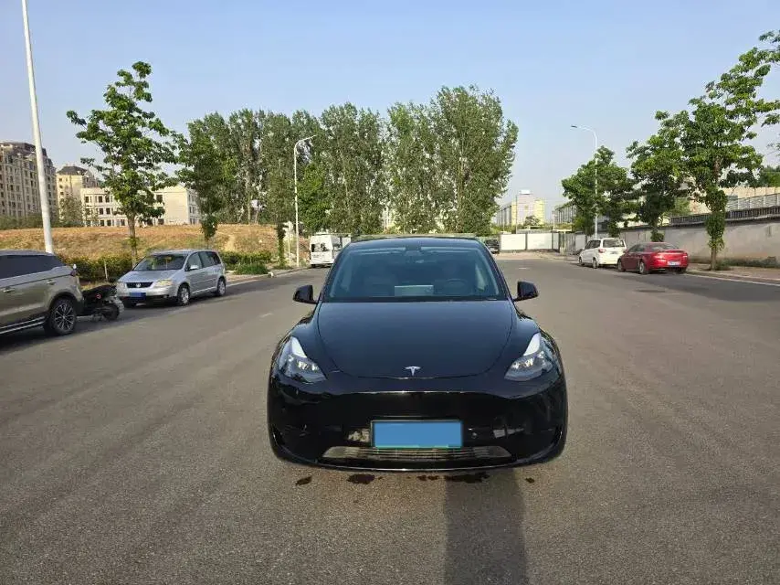 2021 TESLA MODEL thumbnail 2