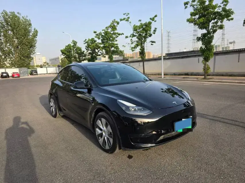 2021 TESLA MODEL thumbnail 3