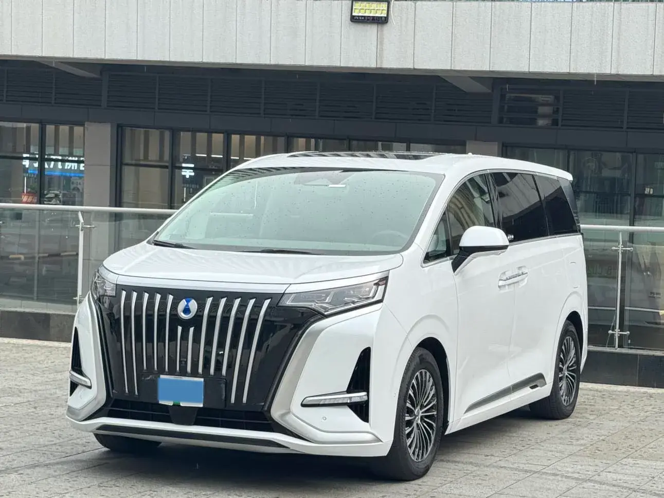 2022 DENZA D9 view 1