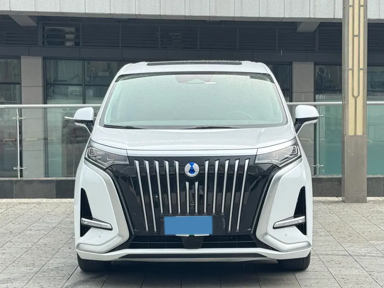 2022 DENZA D9 thumbnail 2